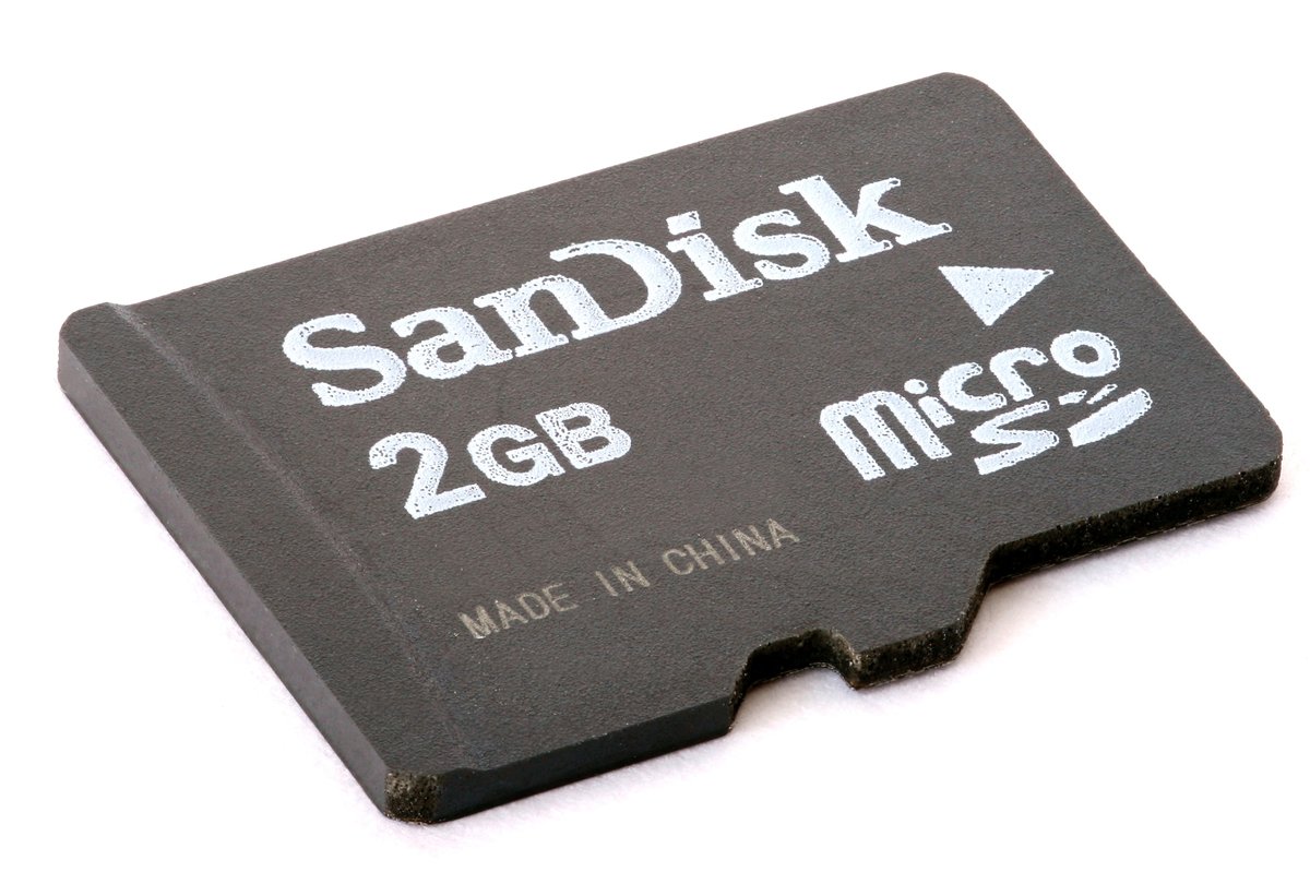 A microSD card — the bootable storage and persistent home of the Pwnagotchi's saved models, handshake captures, and configuration.